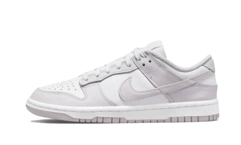 Nike Dunk Low Venice