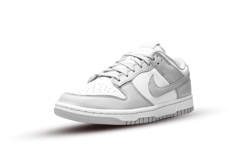 Nike Dunk Low Grey Fog - DD1391-103
