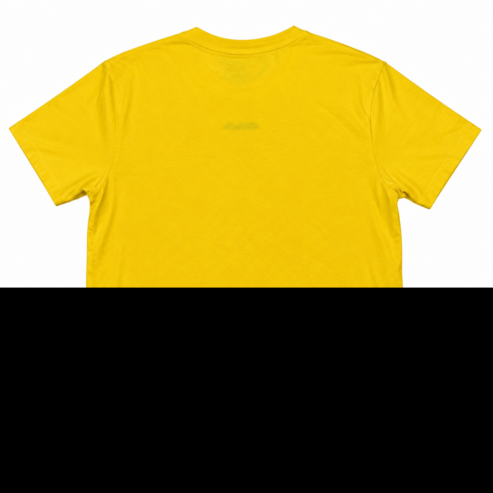 Modelo 181